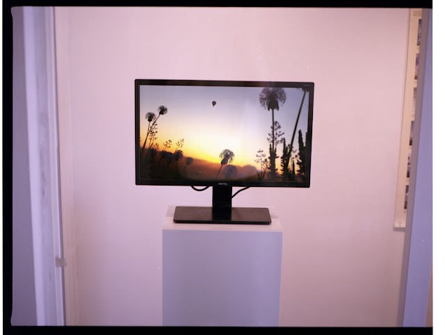 photo_2024-01-31 11.13.58.jpeg